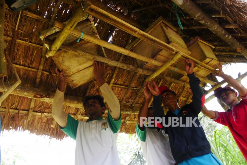 HUTAN KEMASYARAKATAN Petani peserta program Kelompok Usaha Perhutanan Sosial (KUPS) Kelompok Tani Hutan-‘Ingin Maju’ meindahkan sarang lebah madu yang dibudidayakan di Lahan Gunung Langkaras, Kabupaten Tanah Laut, Kalsel, Tabu (22/11).