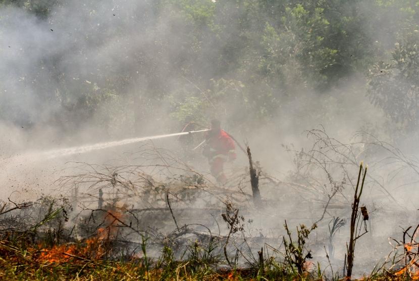 Petugas Badan Penanggulangan Bencana Daerah (BPBD) Pekanbaru dibantu Pemadam Kebakaran Kota Pekanbaru berjibaku memadamkan bara api yang membakar lahan gambut ditengah pekatnya asap kebakaran  lahan di Pekanbaru, Riau, Selasa (6/8/2019).