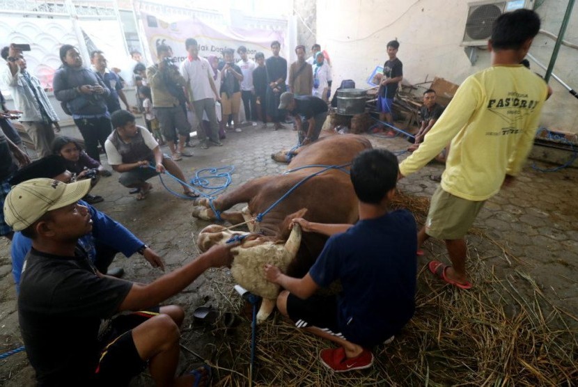 Masjid Raya Bandung Siapkan 2.000 Besek untuk Bungkus Daging Kurban