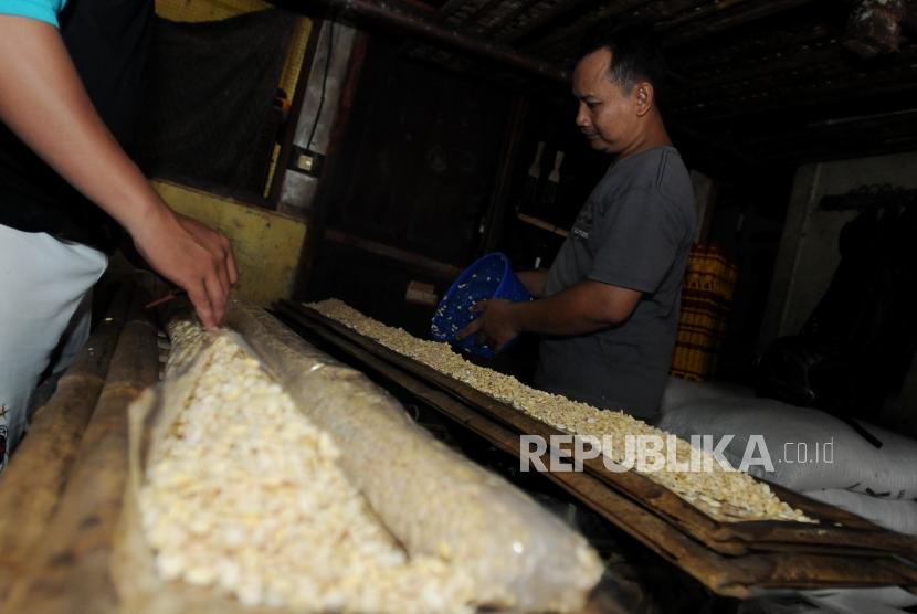 Pekerja saat akan membungkus olahan kacang kedelai untuk dijadikan tempe di Utan Panjang, Kemayoran, Jakarta, Kamis (24/5).