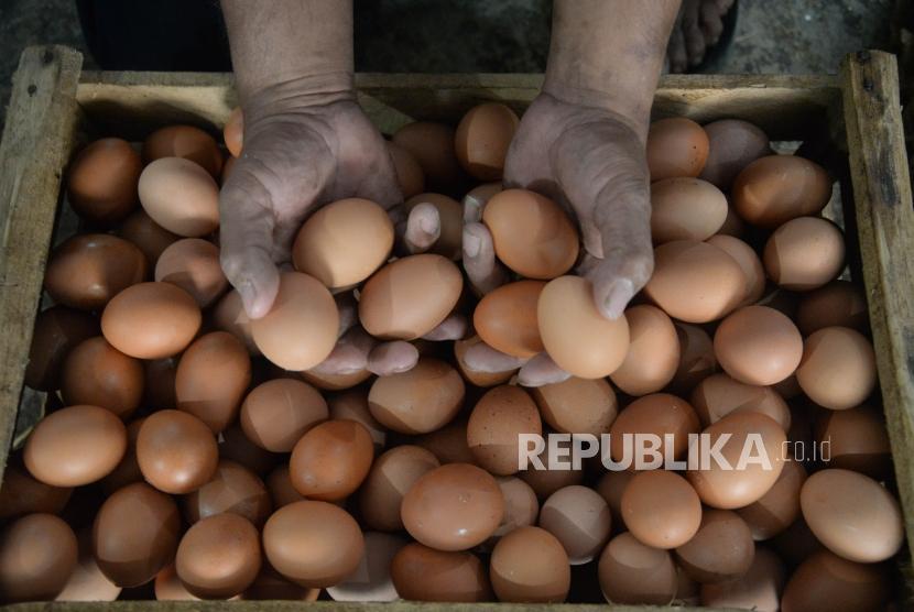 Pekerja menata telur ayam di salah satu agen sembako di kawasan Manggarai, Jakarta, Ahad (22/7).