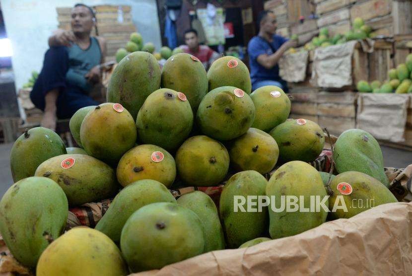 Penjual Mangga Banting Harga, Hanya Rp 8.000 per Kg. Pedagang memilah buah mangga. Ilustrasi