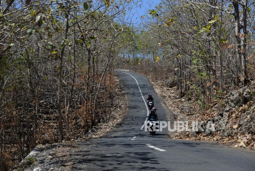 Gunung Kidul Selesai Bebaskan Lahan Ngalang-Tawang. Pepohonan meranggas di Panggang, Gunung Kidul, Yogyakarta (ilustrasi).