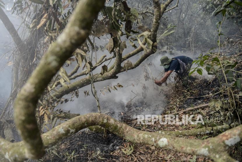 Sejumlah anggota TNI Kodim 0301/Pekanbaru saat berusaha memadamkan api yang menjalar di lahan gambut di kawasan Riau Ujung, Pekanbaru, Riau, Jumat (20/9).