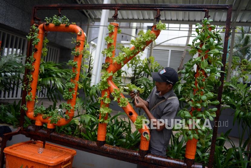 Petugas saat melakukan perawatan tanaman hidroponik dengan menggunakan barang bekas di Balai Kota Jakarta, Selasa (9/4).