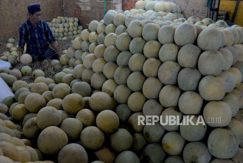 Pedagang memilah buah melon (ilustrasi).