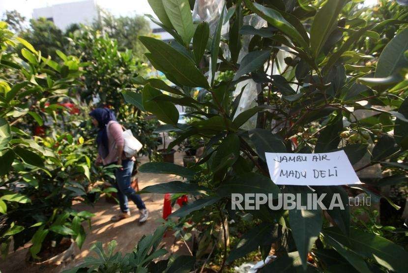 Pengunjung melihat-lihat tanaman yang dijual saat pameran flora dan fauna 2018 di Taman Lapangan Banteng, Jakarta, Ahad (19/8).