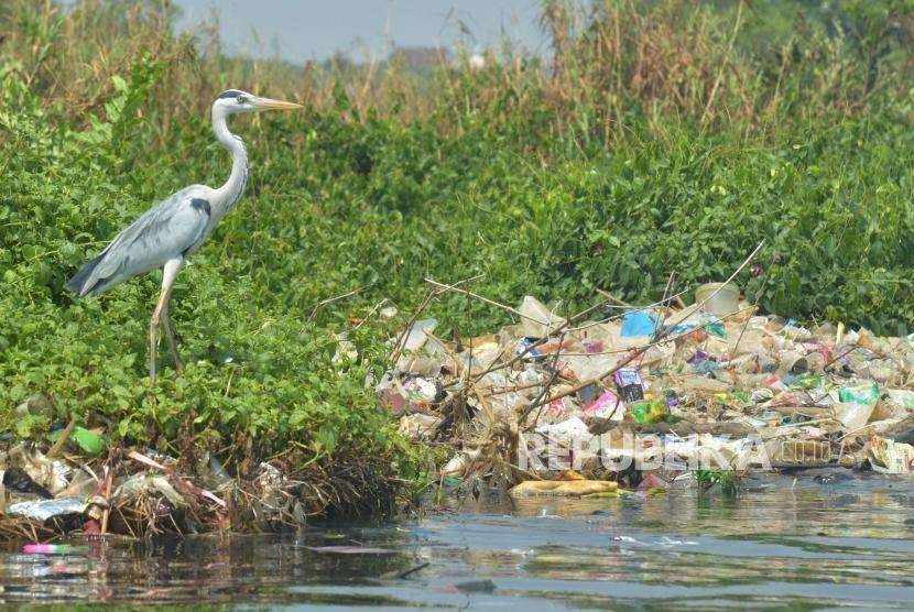 Seekor burung pecuk hinggap di dekat tumpukan sampah di perairan Teluk Jakarta, Jakarta Utara (ilustrasi).