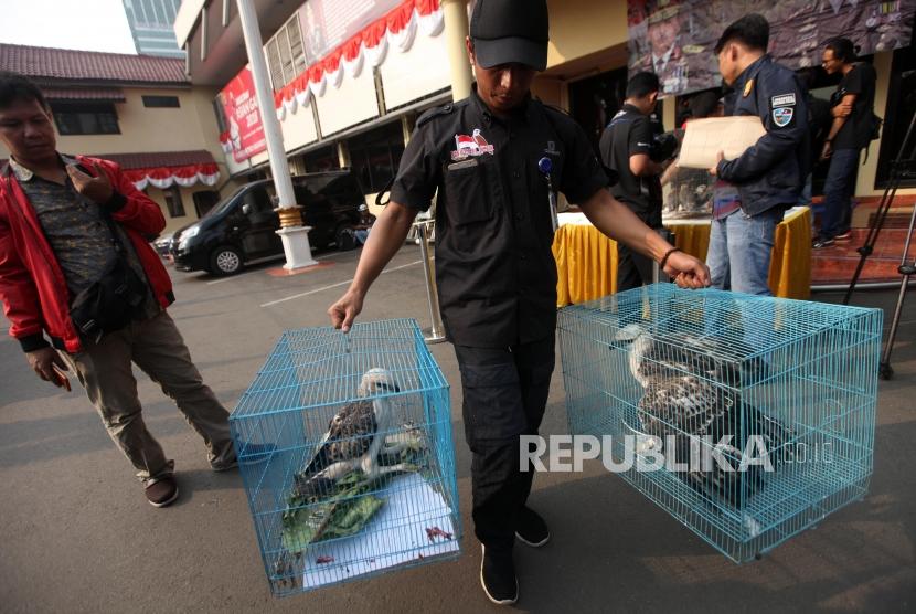 Petugas membawa barang bukti dua ekor burung elang saat rilis pengungkapan jaringan perdagangan satwa liar antar daerah secara daring di polres Jakarta Barat, Jakarta, Selasa (31/7).