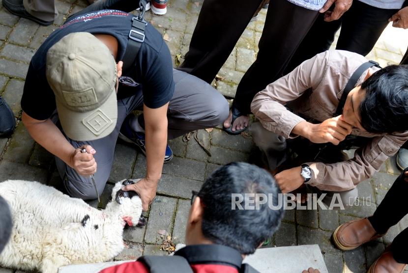 Pelatihan penyembelihan hewan kurban (ilustrasi). Pemerintah Kabupaten (Pemkab) Bangkalan, Jawa Timur membentuk tim juru sembelih halal (Juleha) sebagai upaya untuk memberikan jaminan produk daging sapi halal dan sehat bagi masyarakat. 