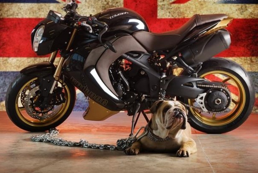 Speed Triple 'Bulldog' Buatan Bulgaria