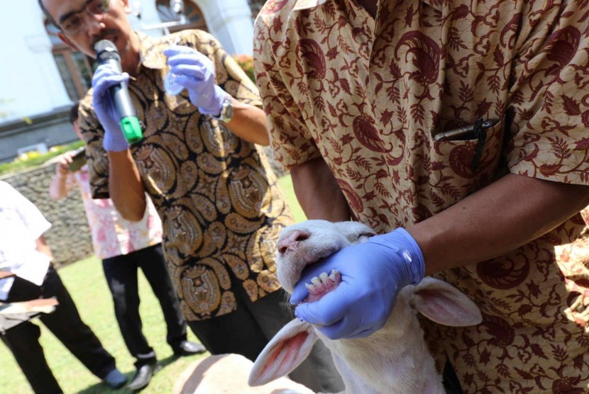 Iduladha Hari Kedua, Cianjur Pastikan Tak Ada Hewan Kurban Terindikasi Penyakit