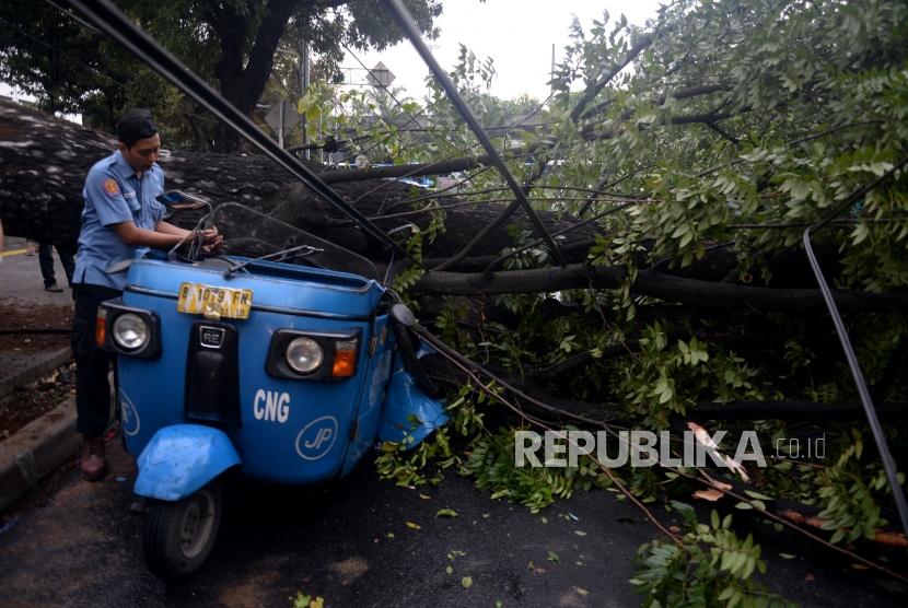 Warga melihat bajaj yang tertimpa pohon yang tumbang di Jalan Perwira, Jakarta Pusat, Selasa (21/11).