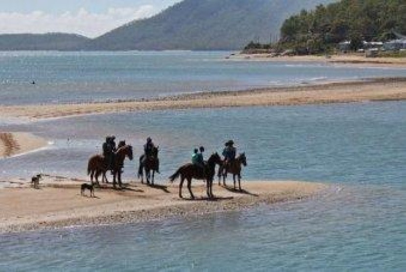 Kuda di Australia 