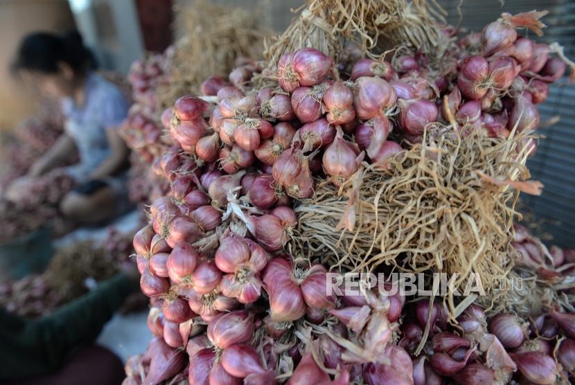 Harga Bawang Merah Anjlok. Petani bawang merah membersihkan bawang di Bantul, Yogyakarta, Selasa (1/10/2019).