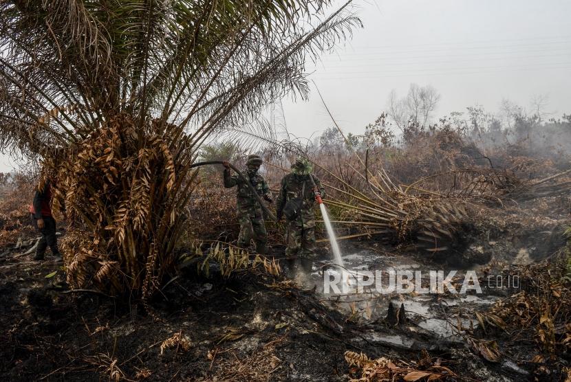 Sejumlah anggota TNI berusaha melakukan pendinginan saat kebakaran hutan di Desa Rimbo Panjang, Kabupaten Kampar, Riau. (Ilustrasi)