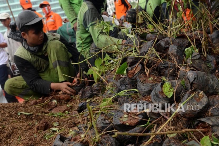 Petugas Suku Dinas Kehutanan Kota Administrasi Jakarta Pusat saat mengganti tanaman rusak yang berada di sekeliling instalasi seni bambu Getah Getih di kawasan Bundaran HI, Jakarta, Ahad (23/6).