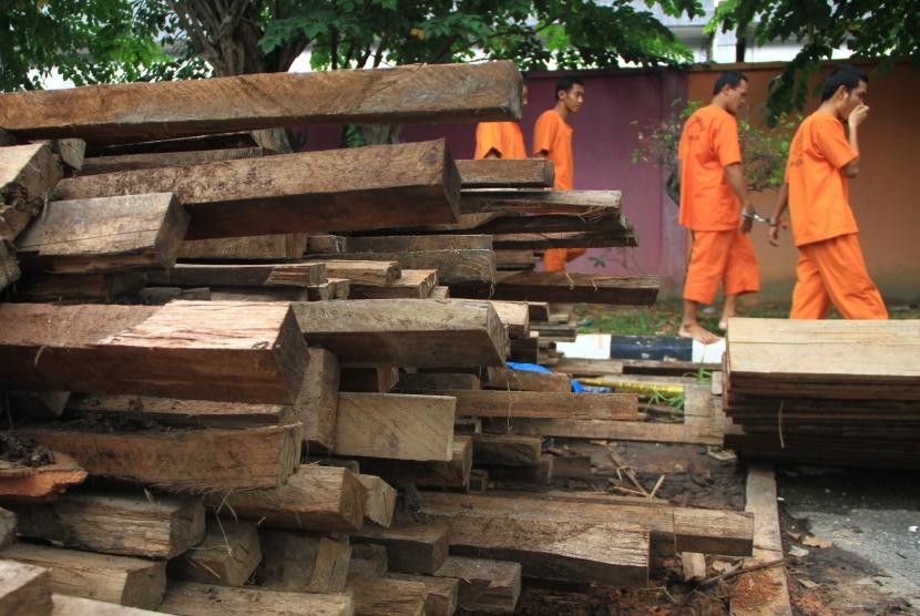 Sejumlah tersangka berjalan melewati barang bukti kayu hasil pembalakan liar, di Kota Pekanbaru, Kamis (11/10).