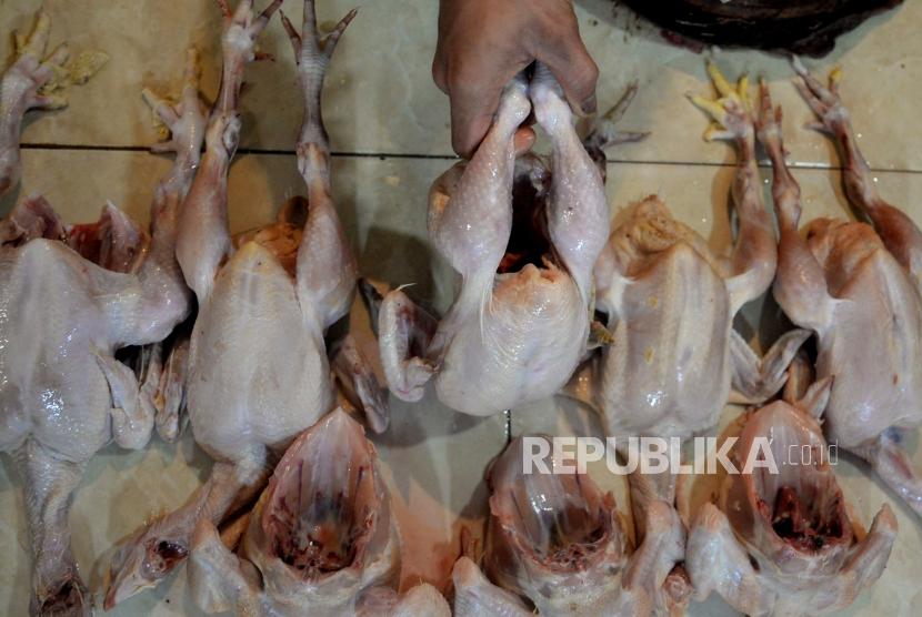 Pedagang ayam potong melayani pembeli di Pasar Pondok Labu, Jakarta Selasa (25/6).