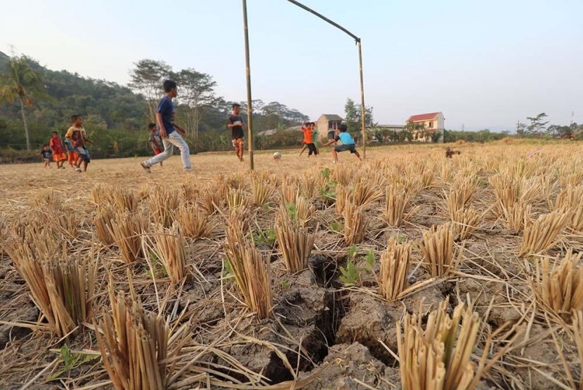 Bencana kekeringan sudah meluas di wilayah Purwakarta.