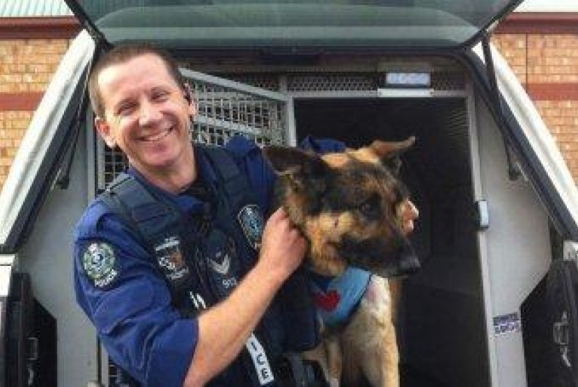 Anjing milik kepolisian Australia 