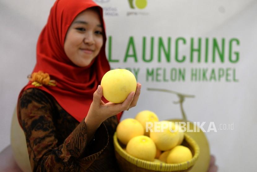 UGM Luncurkan Melon Mini Sebesar Apel | Republika Online