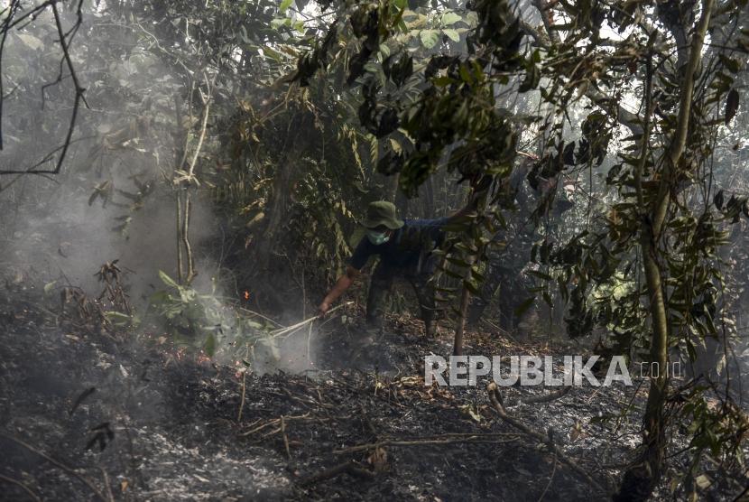 Sejumlah anggota TNI Kodim 0301/Pekanbaru saat berusaha memadamkan api yang menjalar di lahan gambut di kawasan Riau Ujung, Pekanbaru, Riau, Jumat (20/9).