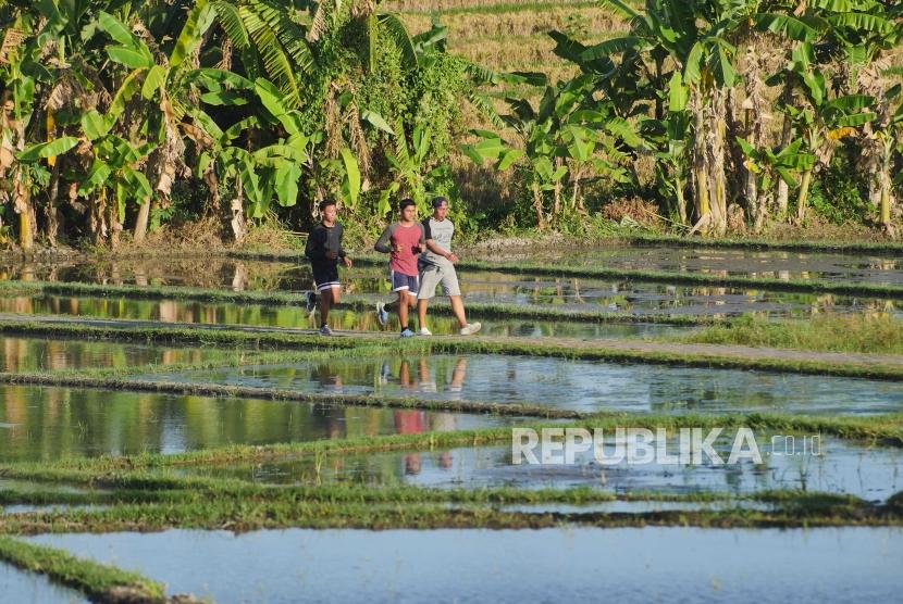 Warga Denpasar lari joging di pematang sawah kawasan terbuka hijau Subak Sembung Denpasar Bali.