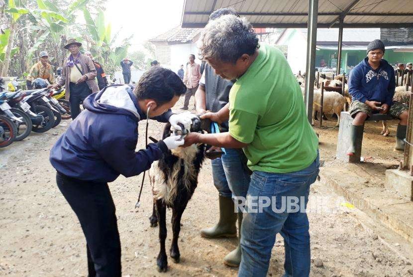 ilustrasi Petugas Dinas Ketahanan Pangan, Pertanian, dan Perikanan (DKP3) Kota Sukabumi memeriksa kesehatan hewan kurban di Pasar Hewan Sukabumi di Kecamatan Citamiang, Kota Sukabumi, Rabu (8/8).