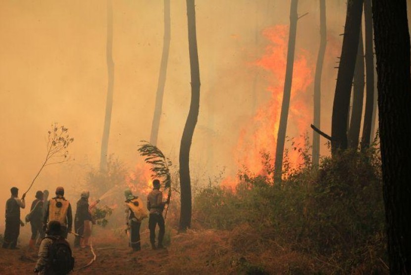 219 Petugas Bantu Padamkan Kebakaran Gunung Ciremai