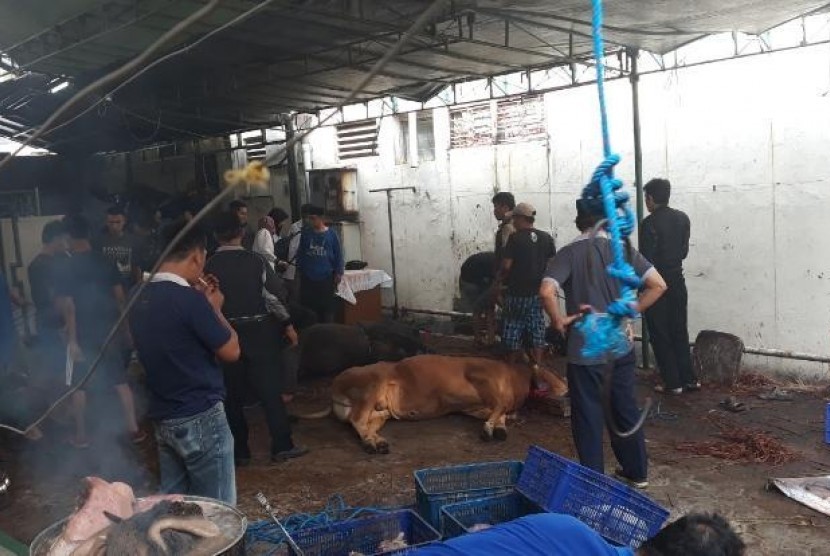 Ada Cacing Hati di Hewan Kurban Masjid Raya Bandung, Dokter: Masih Aman