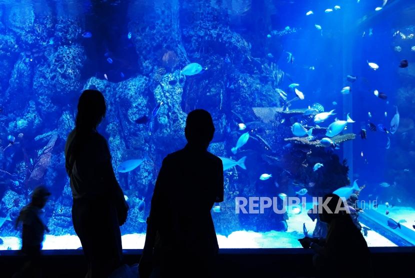 Sejumlah pengunjung mengamati berbagai jenis ikan yang berada di aquarium di Jakarta Aquarium, Jakarta, Senin (22/10).  Masyarakat disarankan untuk menerapkan lima langkah saat berwisata agar tetap aman dalam situasi pandemi COVID-19, di antaranya patuh terhadap protokol kesehatan.