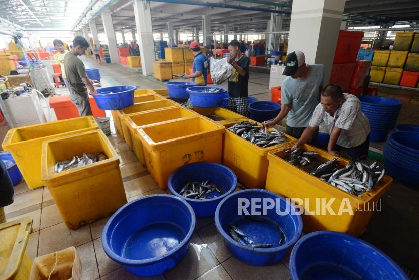 Pasar Ikan Modern. Pekerja saat menyortir ikan di Pasar Ikan Modern Muara Baru, Jakarta, Kamis (21/2).(Republika/Putra M. Akbar)