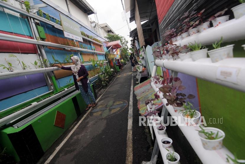 Warga mengurus tanaman vertical garden miliknya (ilustrasi)