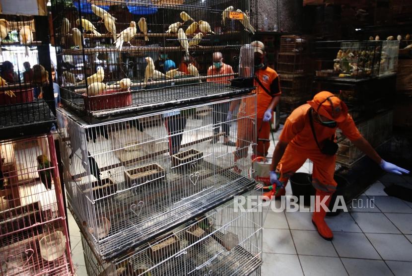 Petugas Sudin Kelautan Perikanan dan Ketahanan Pangan (KPKP) Jaktim menyemprotkan desinfektan pada burung di Pasar Pramuka, Jakarta Timur, Jumat (24/3).