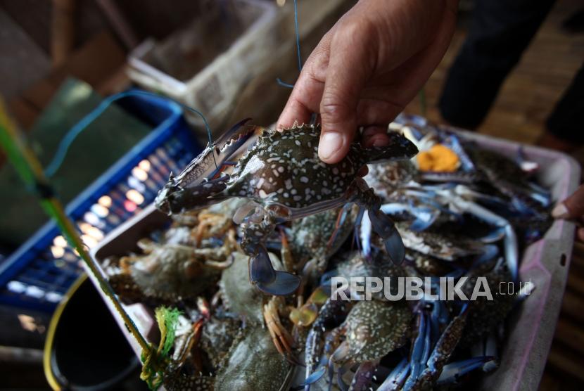 Seorang nelayan memperlihatkan kepiting hasil tangkapanya di Kampung Dadap, Kecamatan Kosambi, Kabupaten  Tangerang, Banten, Rabu (18/7). 