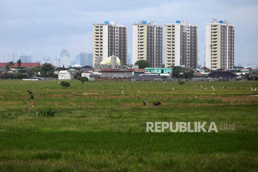 Petani membajak sawah di lahannya Kawasan Rotan Jaya, Jakarta Timur (ilustrasi)