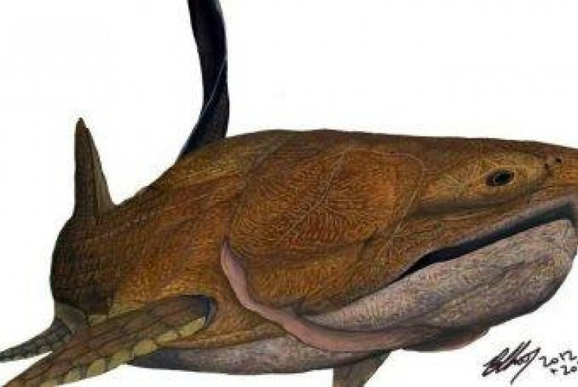 Placoderm, jenis ikan purba dengan lapisan kulit keras