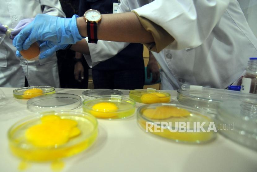 Petugas saat mengecek kandungan telur terkait keberadaan telur palsu. (Ilustrasi)