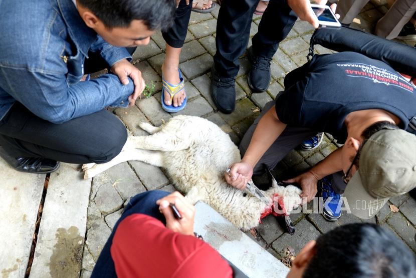 Pelatihan penyembelihan hewan kurban (ilustrasi). SUKABUMI--Menjelang Idul Adha sejumlah elemen masyarakat di Kota Sukabumi, Jawa Barat, menggencarkan pelatihan juru sembelih halal. 
