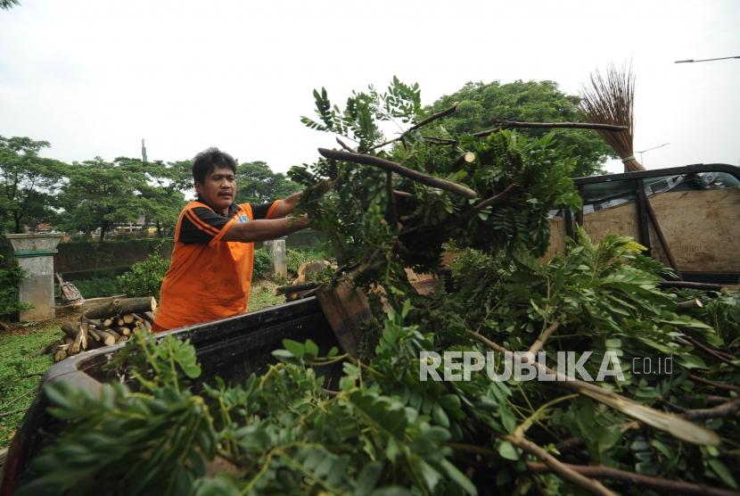 Evakuasi. Petugas Dinas Pertamanan dan Pemakaman melakukan evakuasi pohon tumbang (ilustrasi)