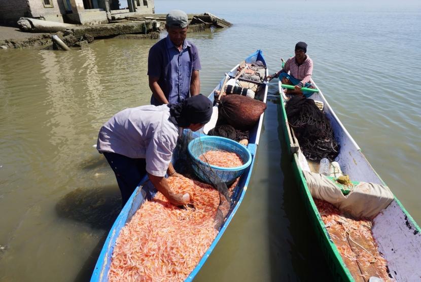 Nelayan membawa udang hasil tangkapan di atas perahunya di Pantai Lere, Palu, Sulawesi Tengah, Rabu (28/8/2019).