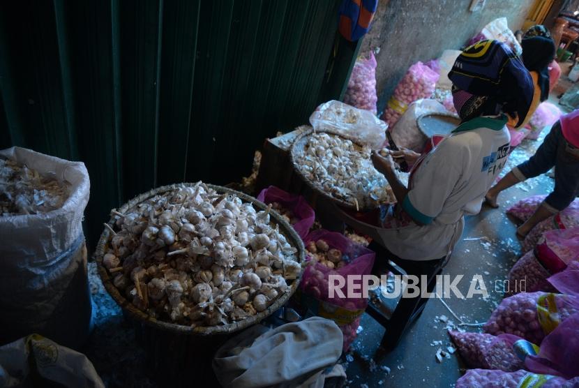Pedagang menyortir bawang putih di Pasar Induk Kramat Jati, Jakarta, Selasa (29/5).