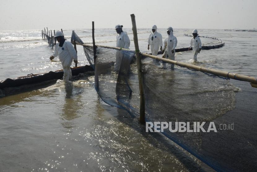 Sejumlah petugas Oil Spill Combat Team (OSCT) saat akan memasang Oil Boom di Pantai Sedari, Karawang, Jawa Barat, Kamis (1/8) lalu.