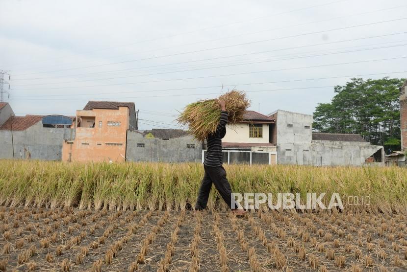 Penyusuran Sawah Perkotaan. 