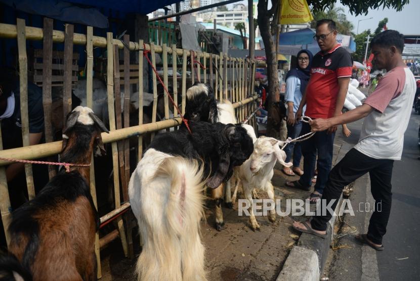 Pedagang menjual hewan kurban dengan memanfaatkan trotoar Jl KH Mas Mansyur, Tanah Abang, Jakarta, Jumat (9/8).