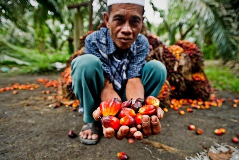 Komisi Uni Eropa Usulkan Pengenaan Tarif Biodiesel Asal Indonesia Hingga 18 Persen