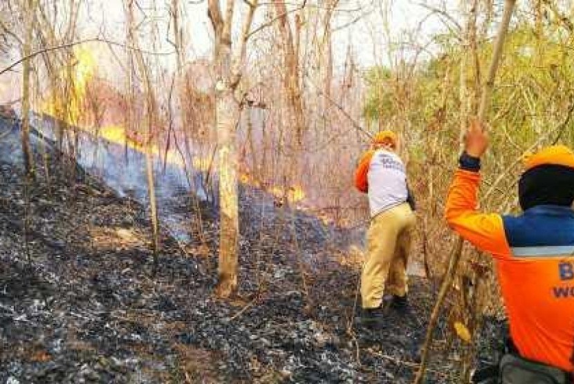  Kebakaran di lahan dan hutan rakyat di Ngawen, Desa Sendangijo, Kecamatan Selogiri, Wonogiri.