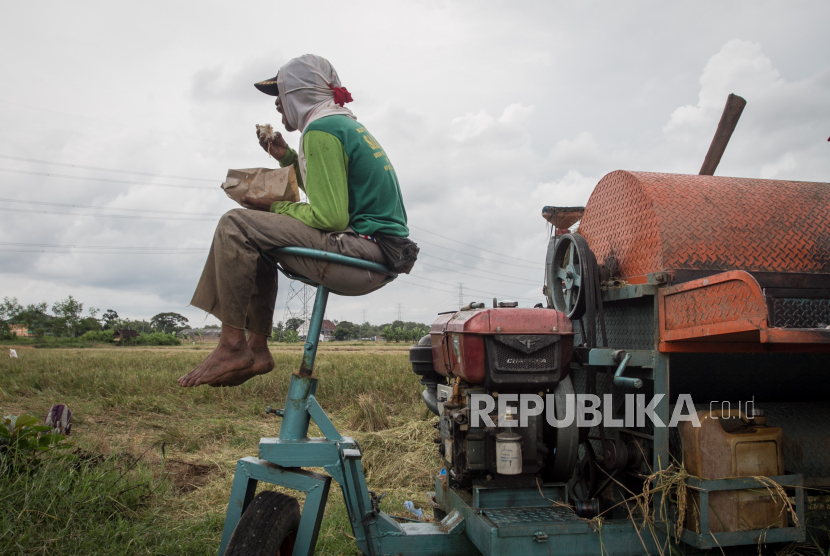 Buruh tani beristirahat saat panen padi di Nguter, Sukoharjo, Jawa Tengah, Kamis (28/5/2020). Untuk mengurangi gagal panen petani, Jasindo sediakan asuransi tani bagi satu juta hektare lahan pertanian. 