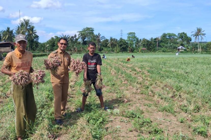 Program TJSL PLN berikan dampak ekonomi bagi petani Lampoko.